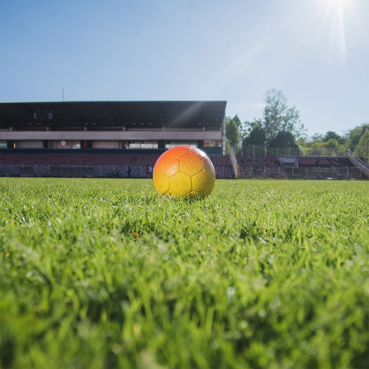 Sports and Recreation